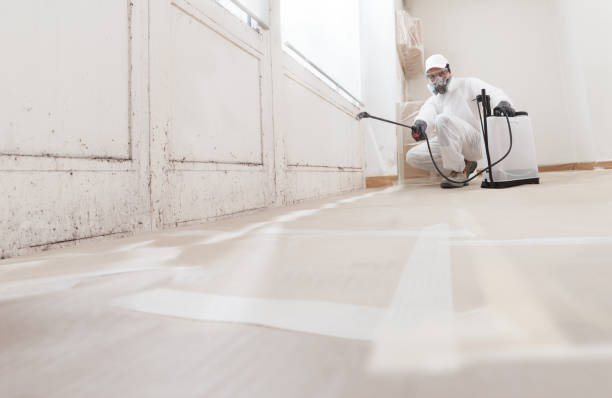 24/7 Emergency Mold Inspection experts in Washington, DC